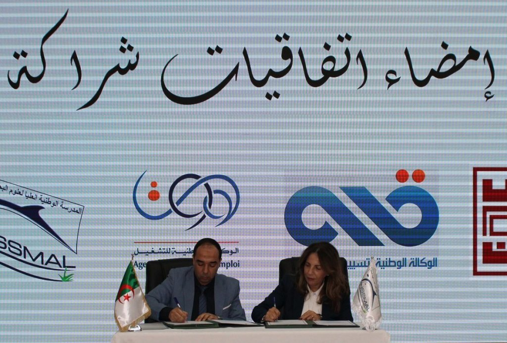 582324266_1273055921485798_4136728453974939460_n