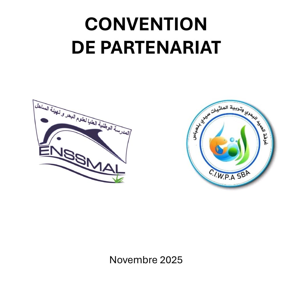 591746955_1283844070406983_5909612483785940321_n