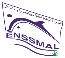 Logo enssmal