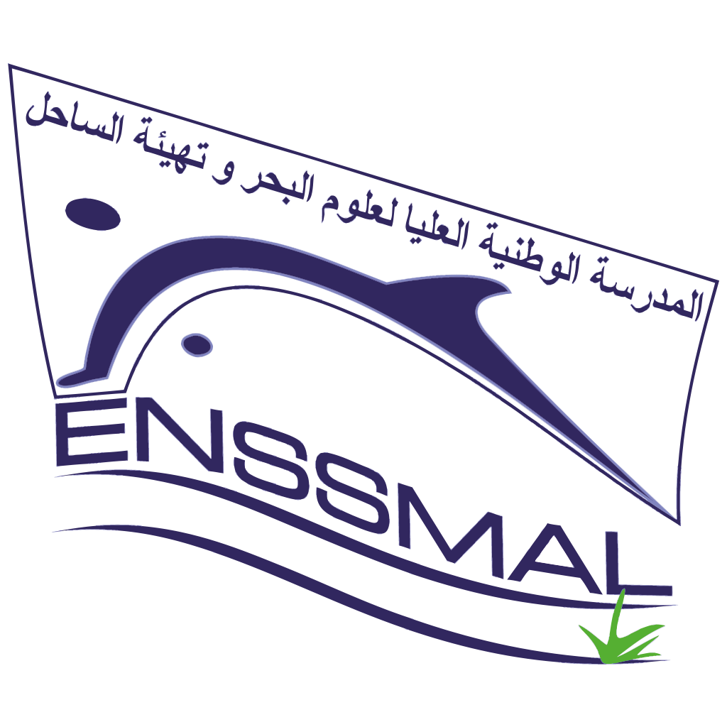 logo ENSSMAL (1)